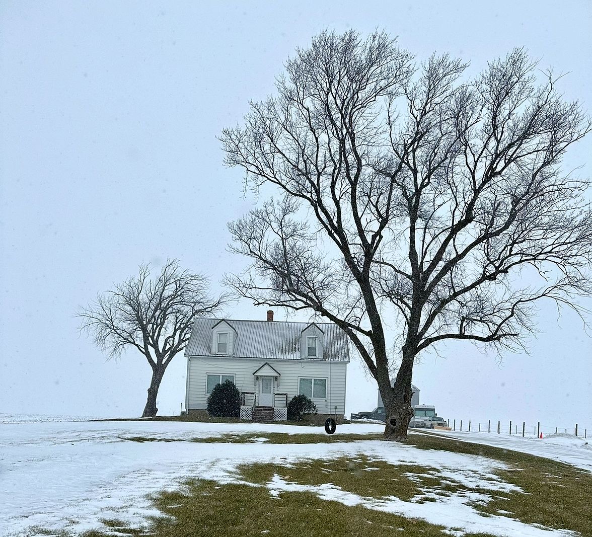 9825 E 11000n Rd Grant Park, IL 60940 - Thumbnail 3