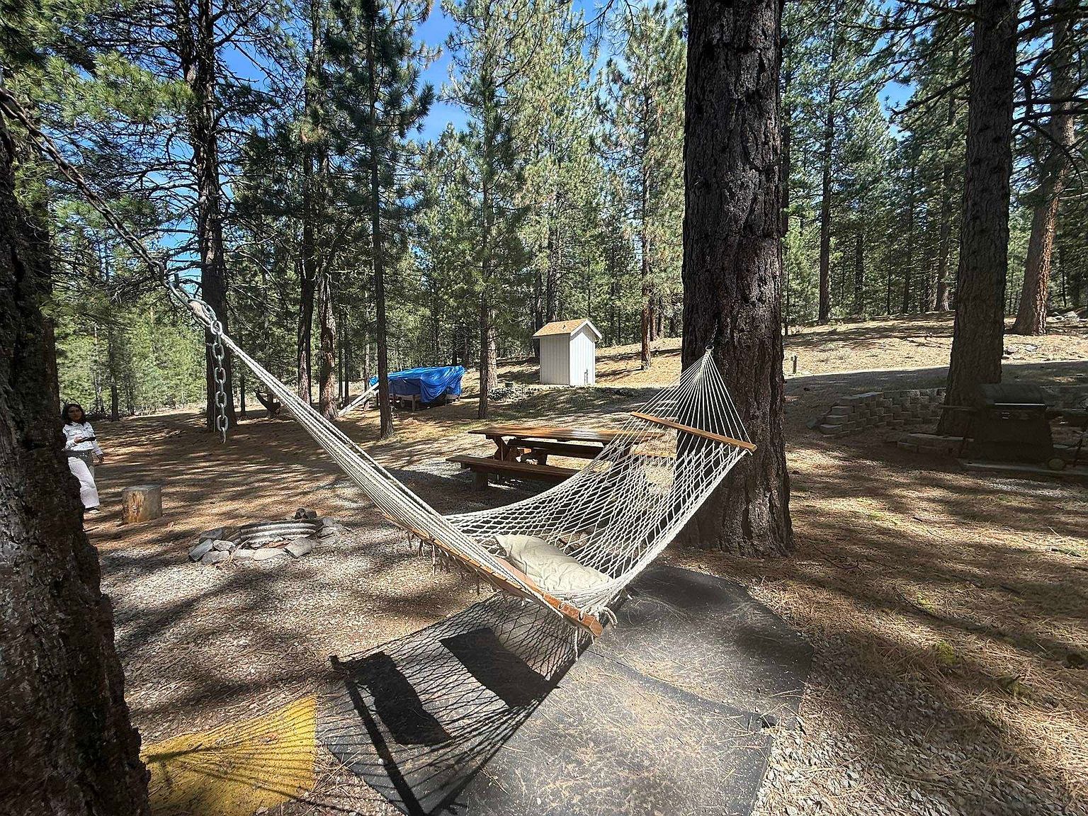 7315 Buckwheat Rd Portola, CA 96122 - Thumbnail 3