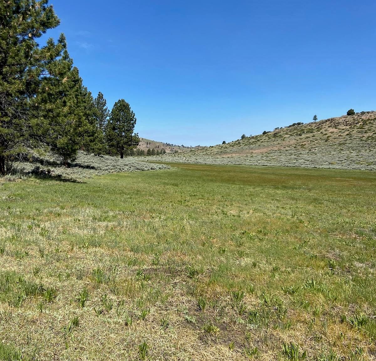 Doyle Grade Chilcoot, CA 96105 - Thumbnail 3