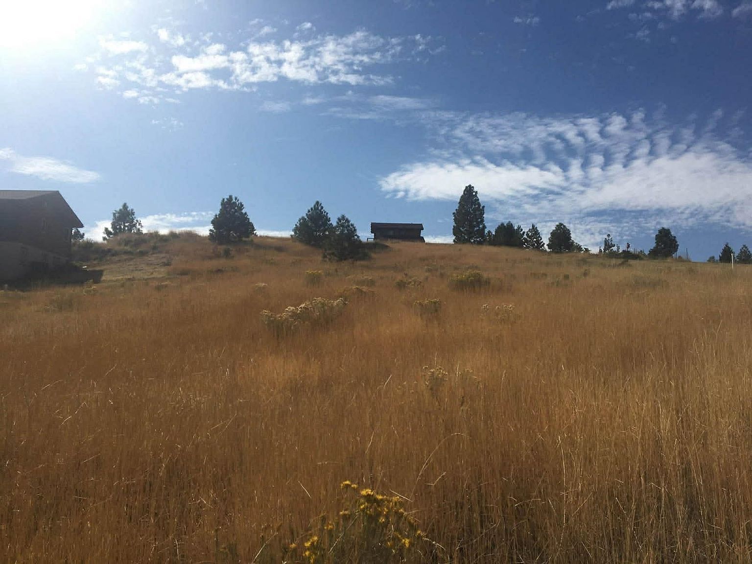 3484 Grizzly Rd Portola, CA 96122 - Thumbnail 3