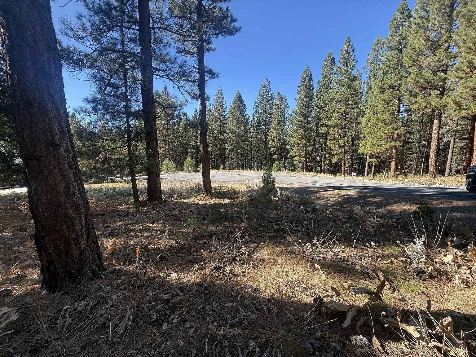 211 Bird Of Prey Ln Portola, CA 96122 - Thumbnail 3