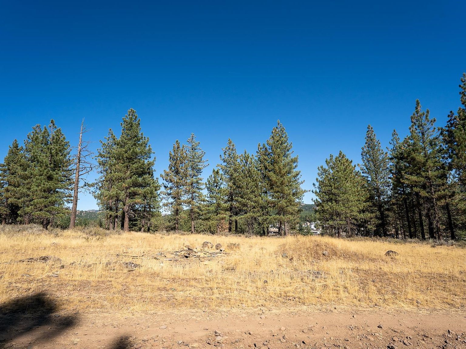 212 Otter Way Portola, CA 96122 - Thumbnail 3