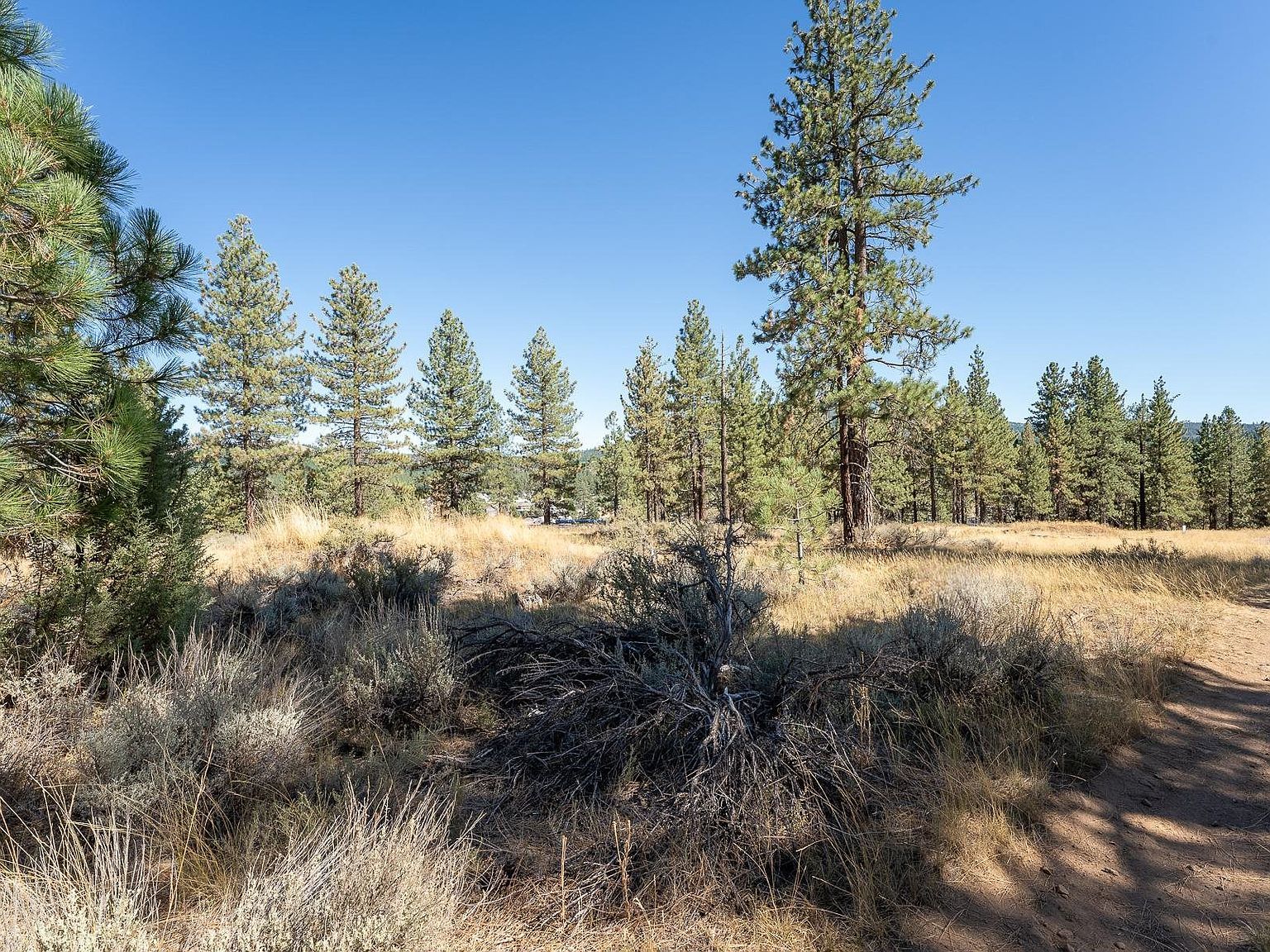 202 Otter Way Portola, CA 96122 - Thumbnail 3