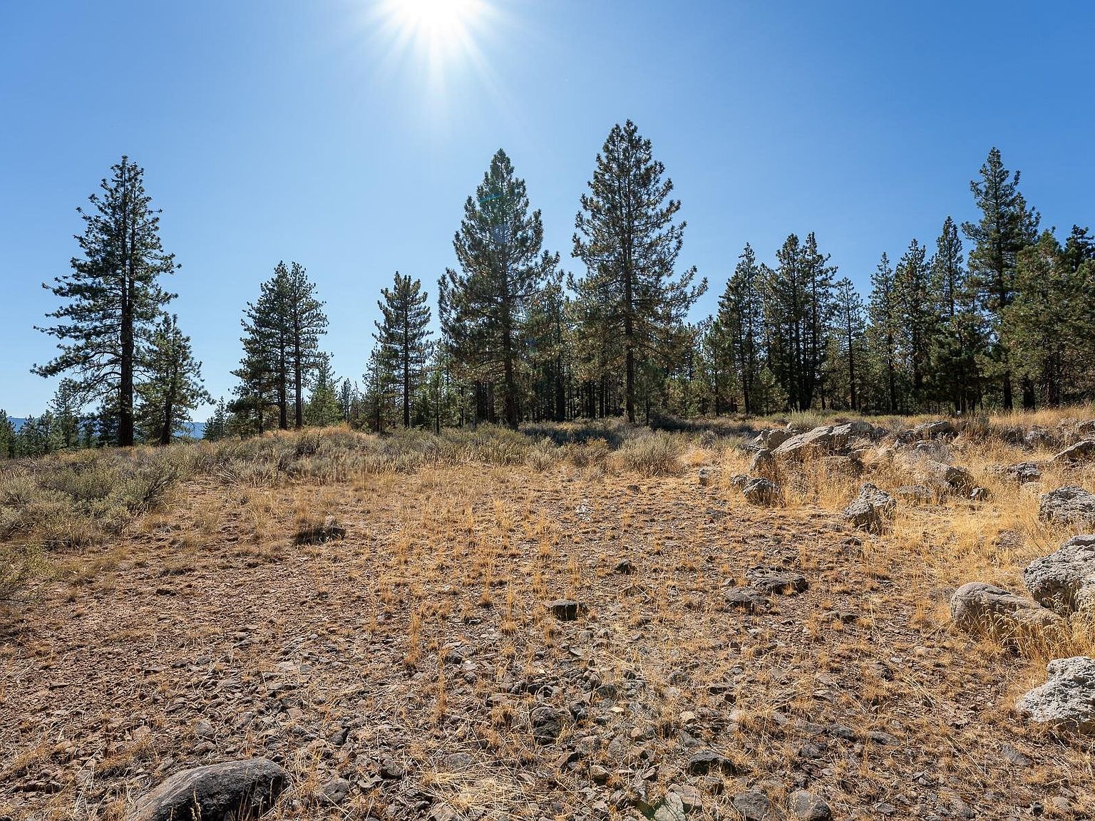 152 Otter Way Portola, CA 96122 - Thumbnail 3