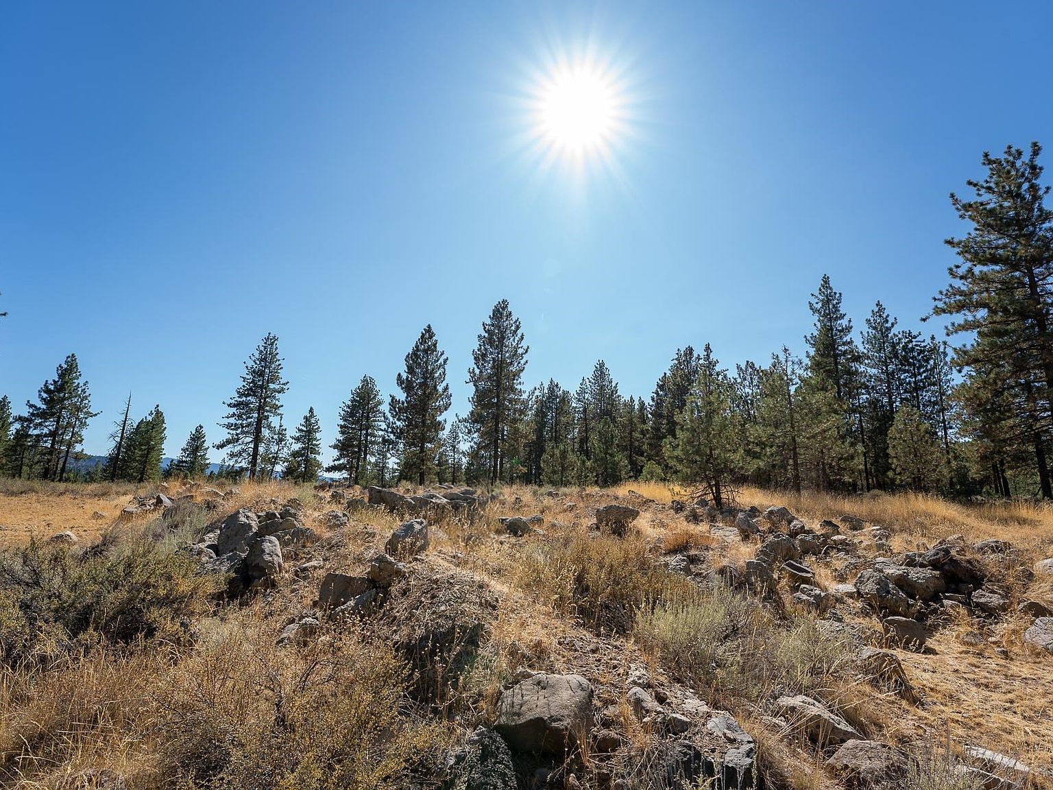 550 2nd St Portola, CA 96122 - Thumbnail 3