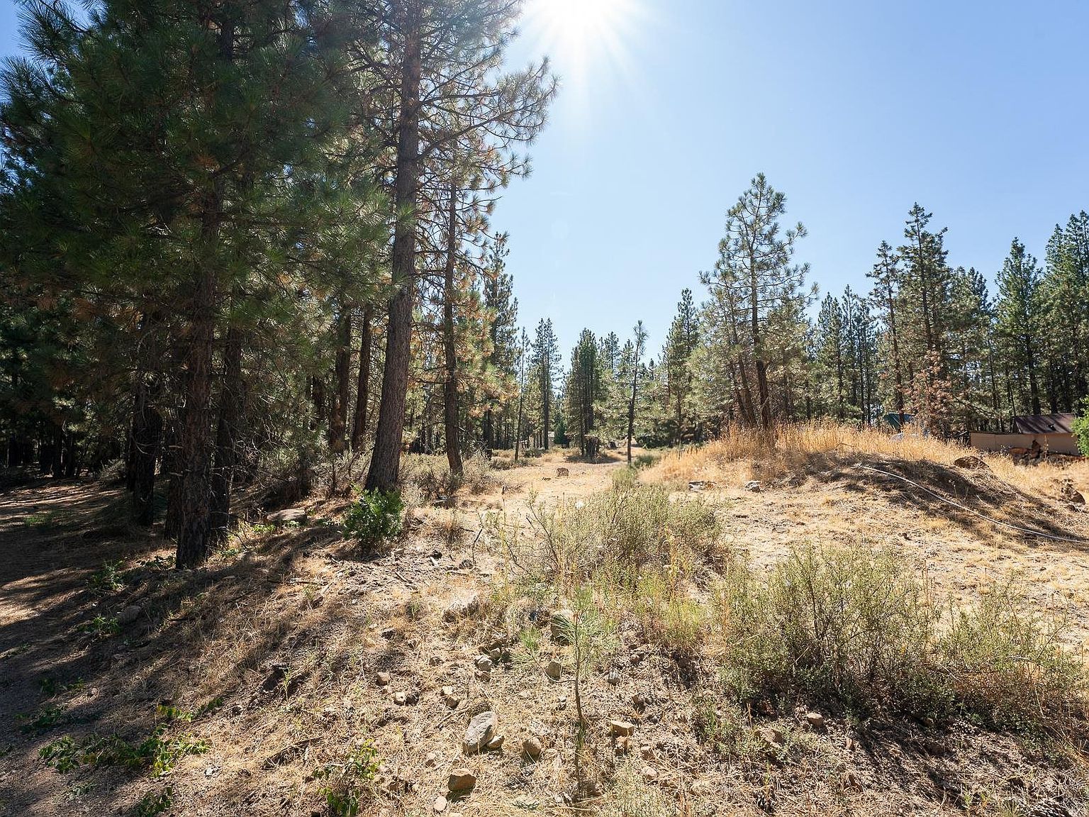 613 3rd St Portola, CA 96122 - Thumbnail 3