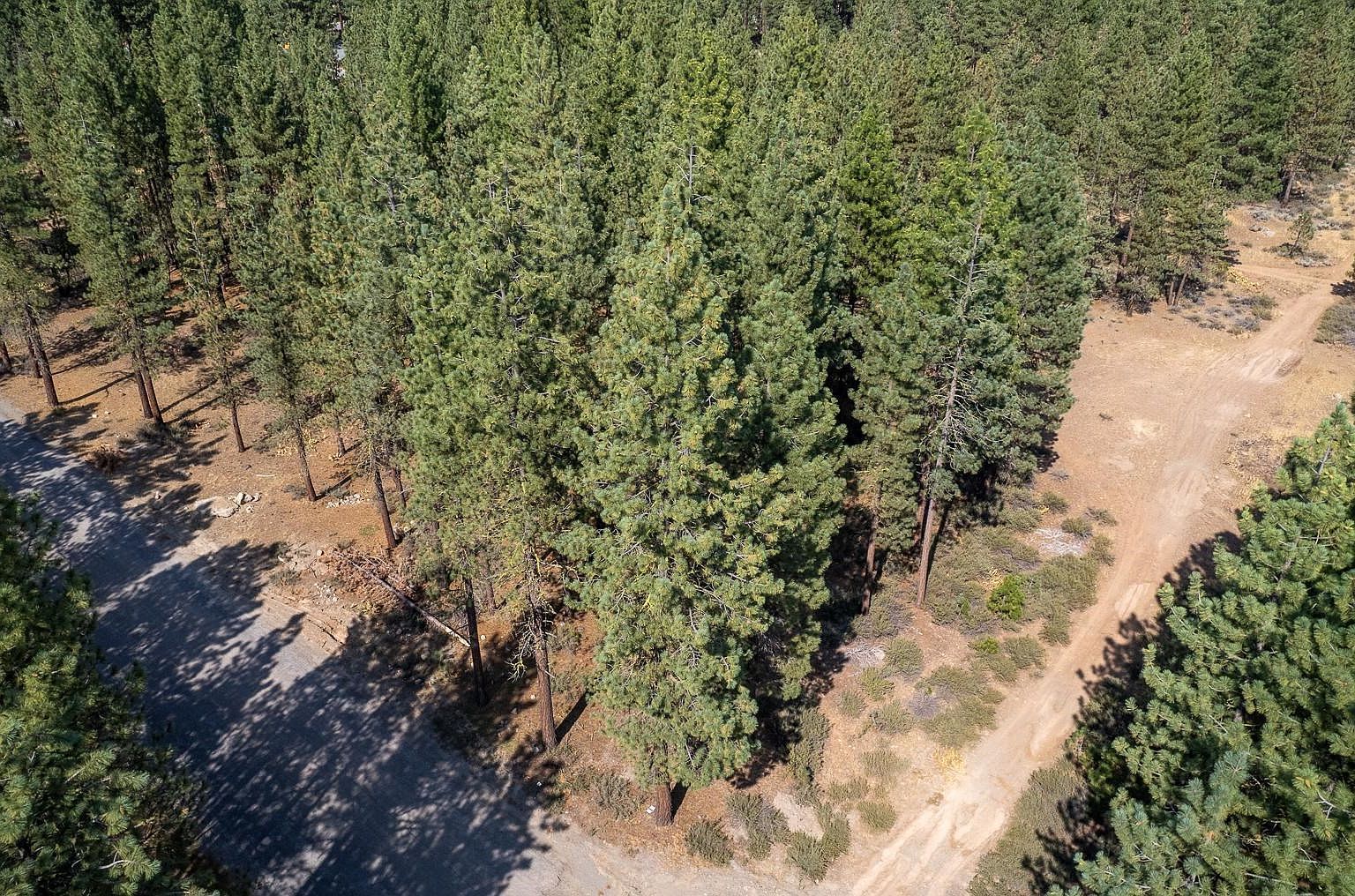 232 Cougar Way Portola, CA 96122 - Thumbnail 3