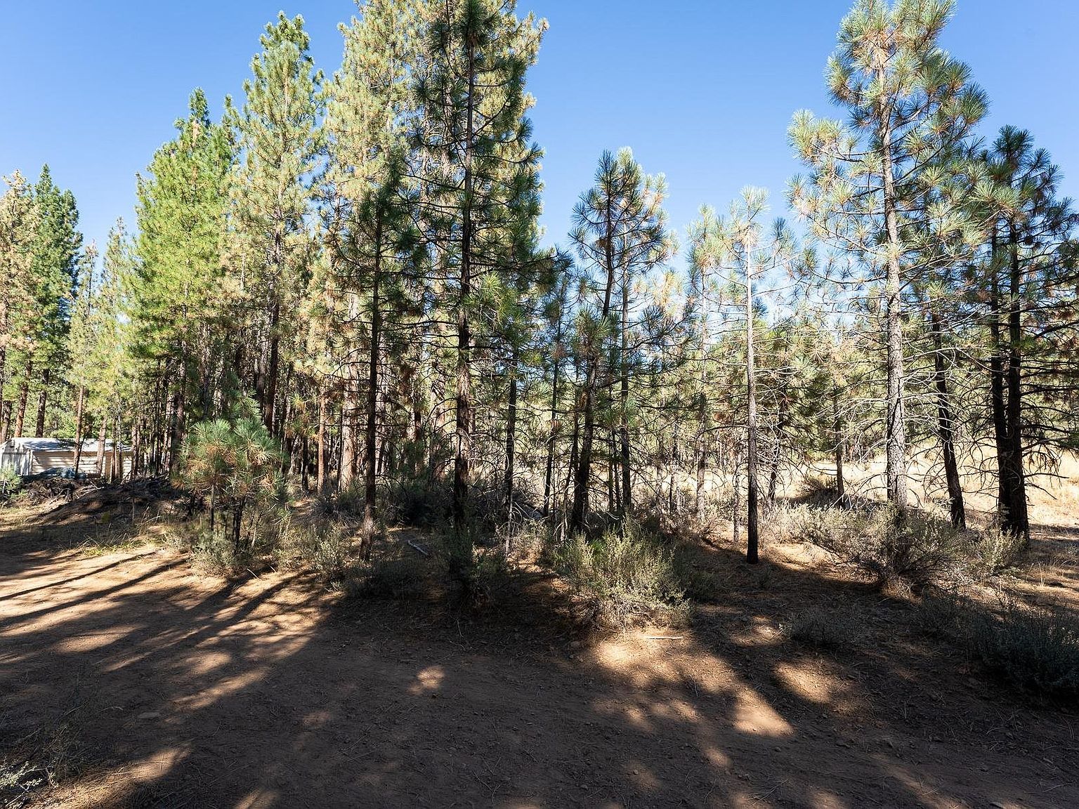 240 Bear Way Portola, CA 96122 - Thumbnail 3