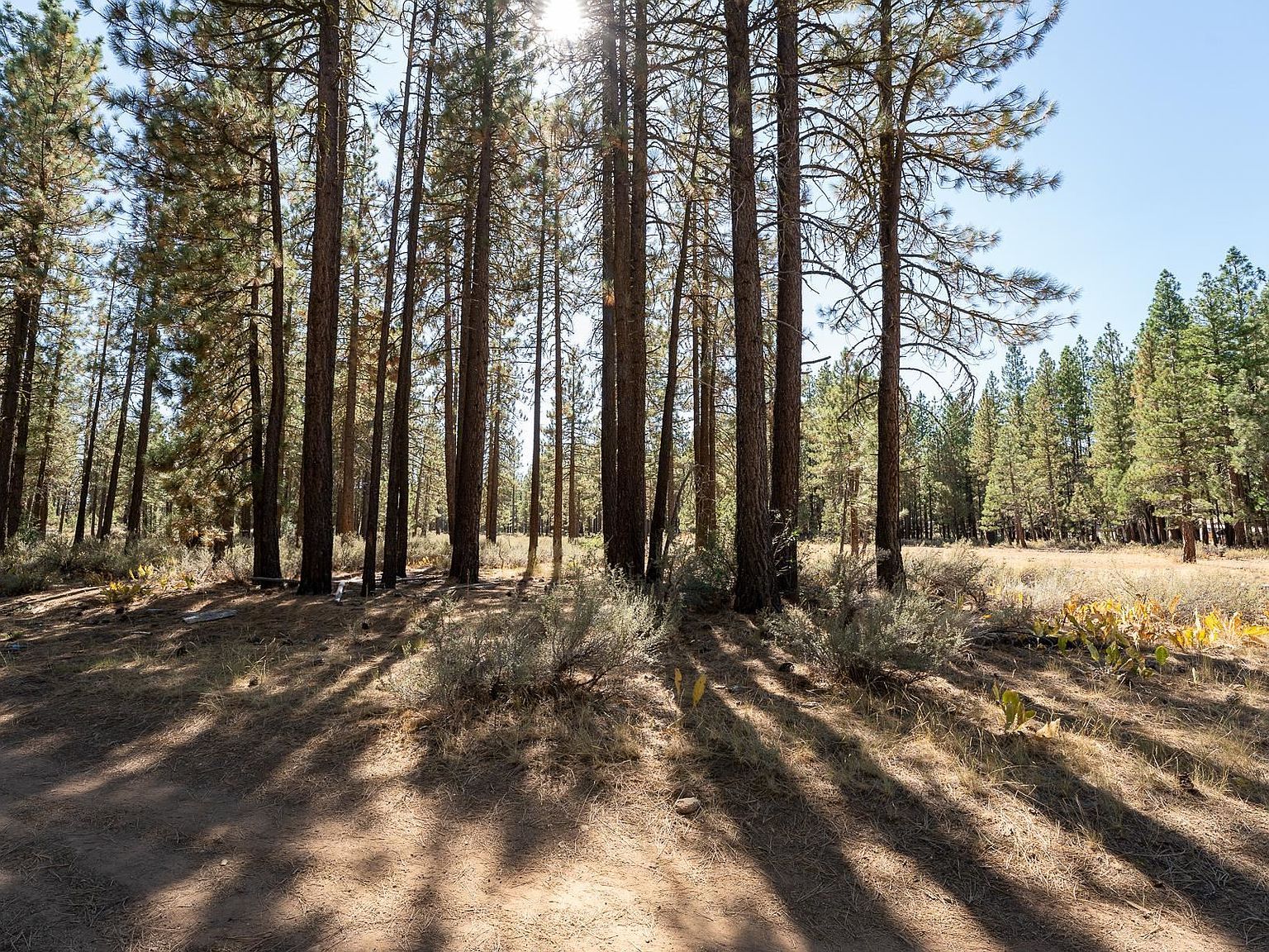 222 Bear Way Portola, CA 96122 - Thumbnail 3