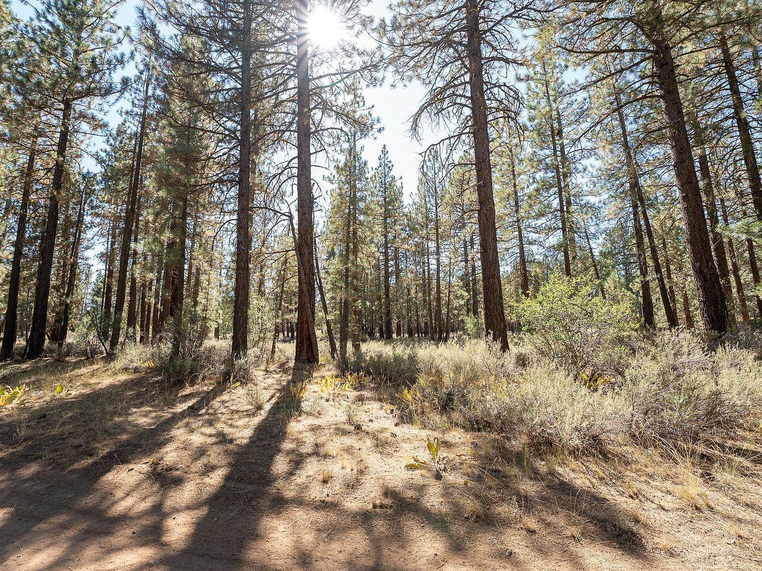 225 Cougar Way Portola, CA 96122 - Thumbnail 3