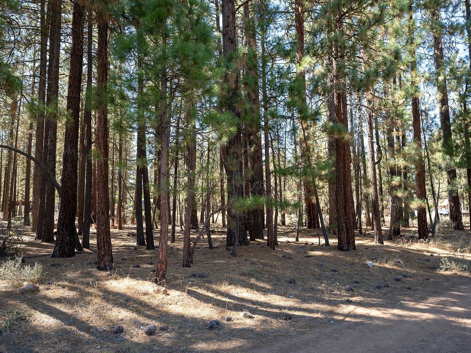 750 3rd St Portola, CA 96122 - Thumbnail 3