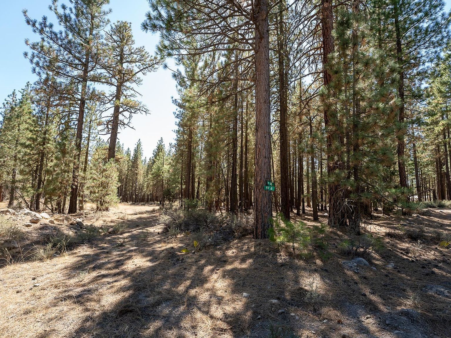 900 3rd St Portola, CA 96122 - Thumbnail 3