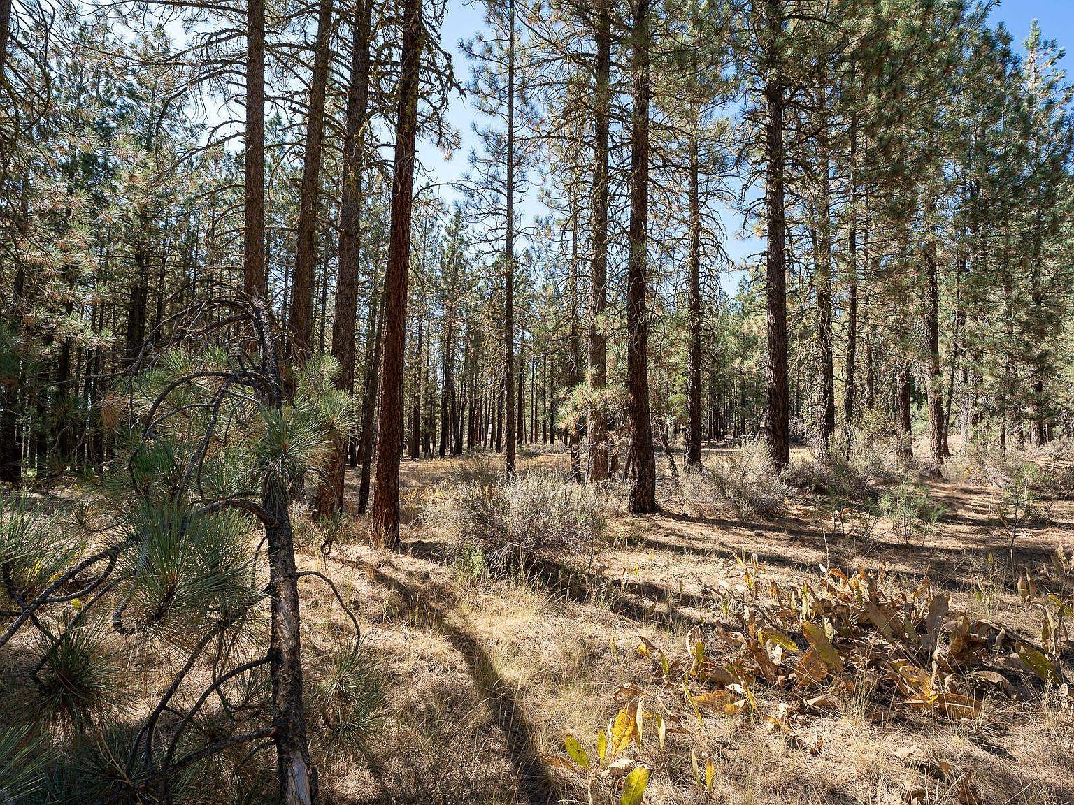 913 3rd St Portola, CA 96122 - Thumbnail 3