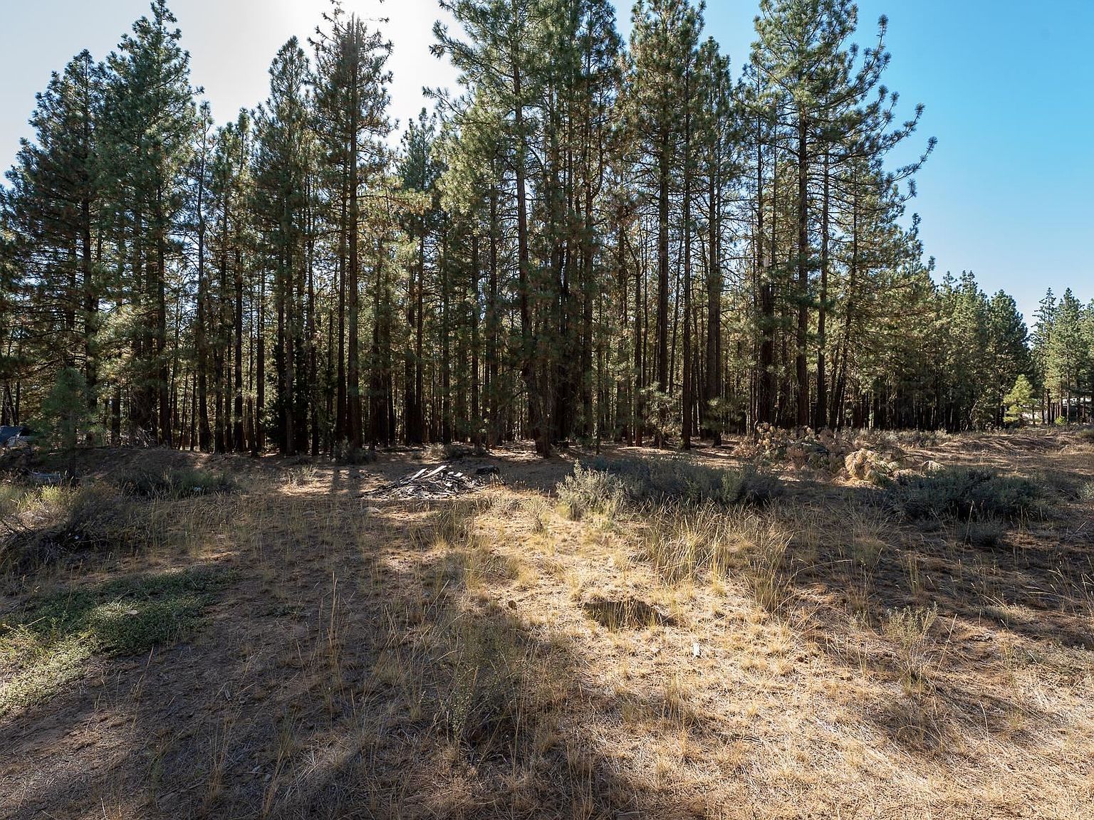 149 Bear Way Portola, CA 96122 - Thumbnail 3