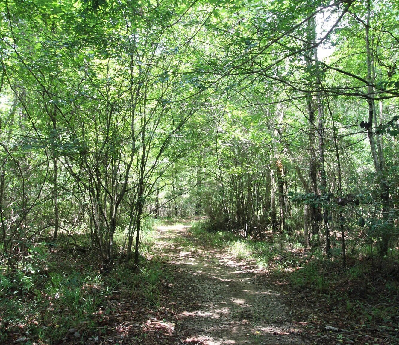 177/AC Burnis Havard Rd Perkinston, MS 39573 - Thumbnail 3