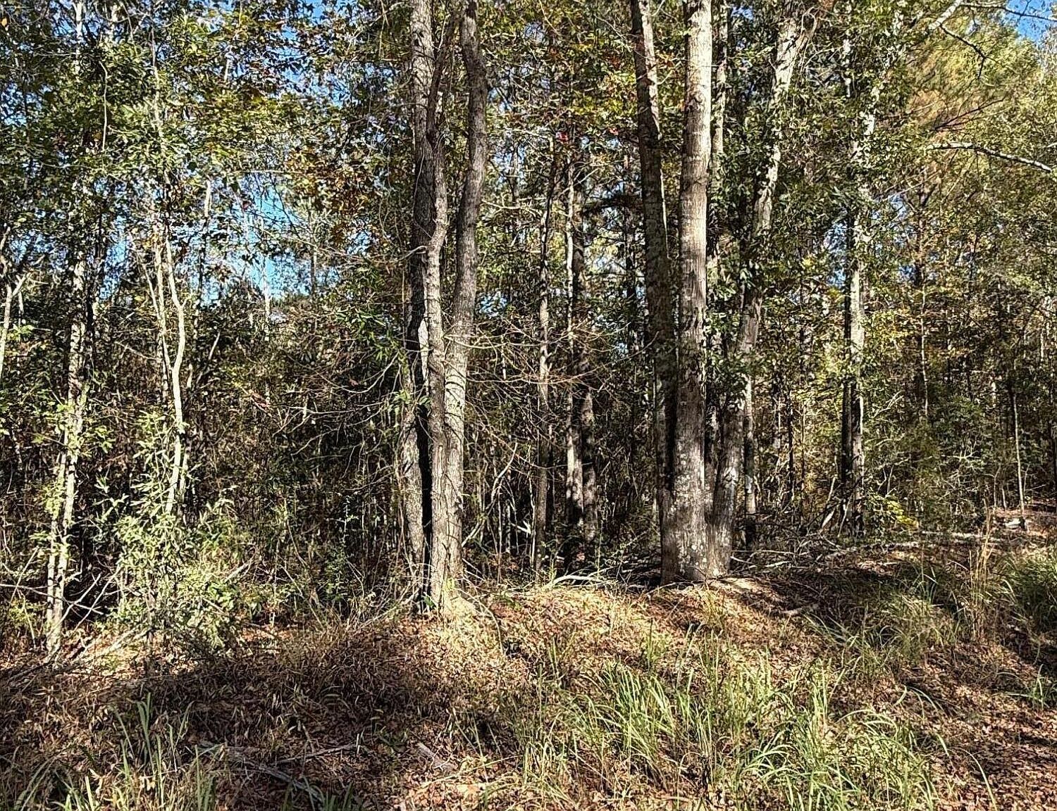 Knobtown Rd, State Line, MS, 39362 - Thumbnail 3