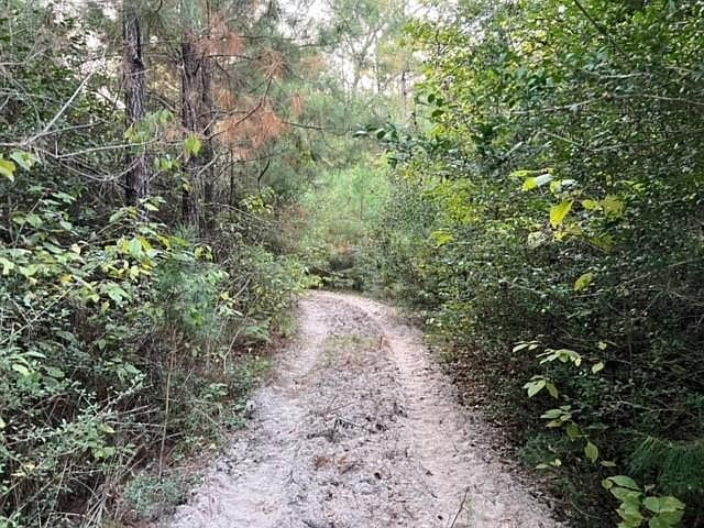 290 Red Hollow Rd Livingston, TX 77351 - Thumbnail 3