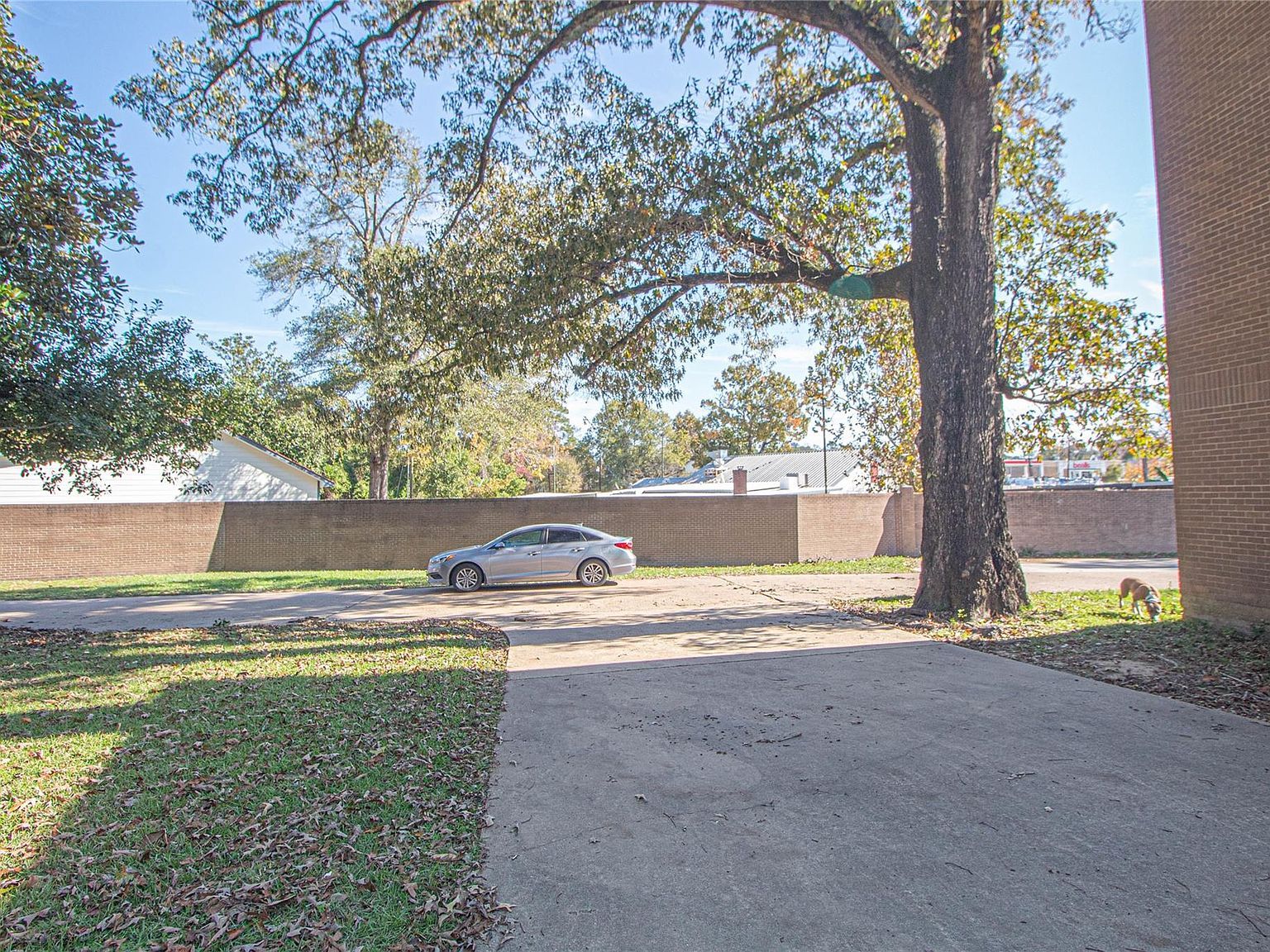 1300 W Church St APT 12 Livingston, TX 77351 - Thumbnail 3