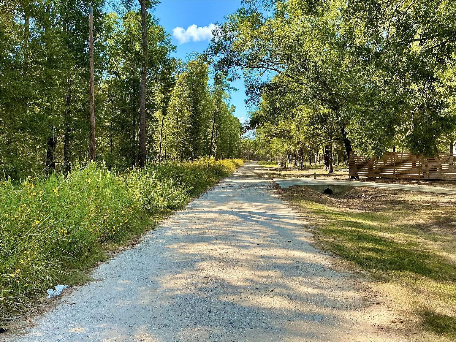 Wendy Way Livingston, TX 77351 - Thumbnail 3