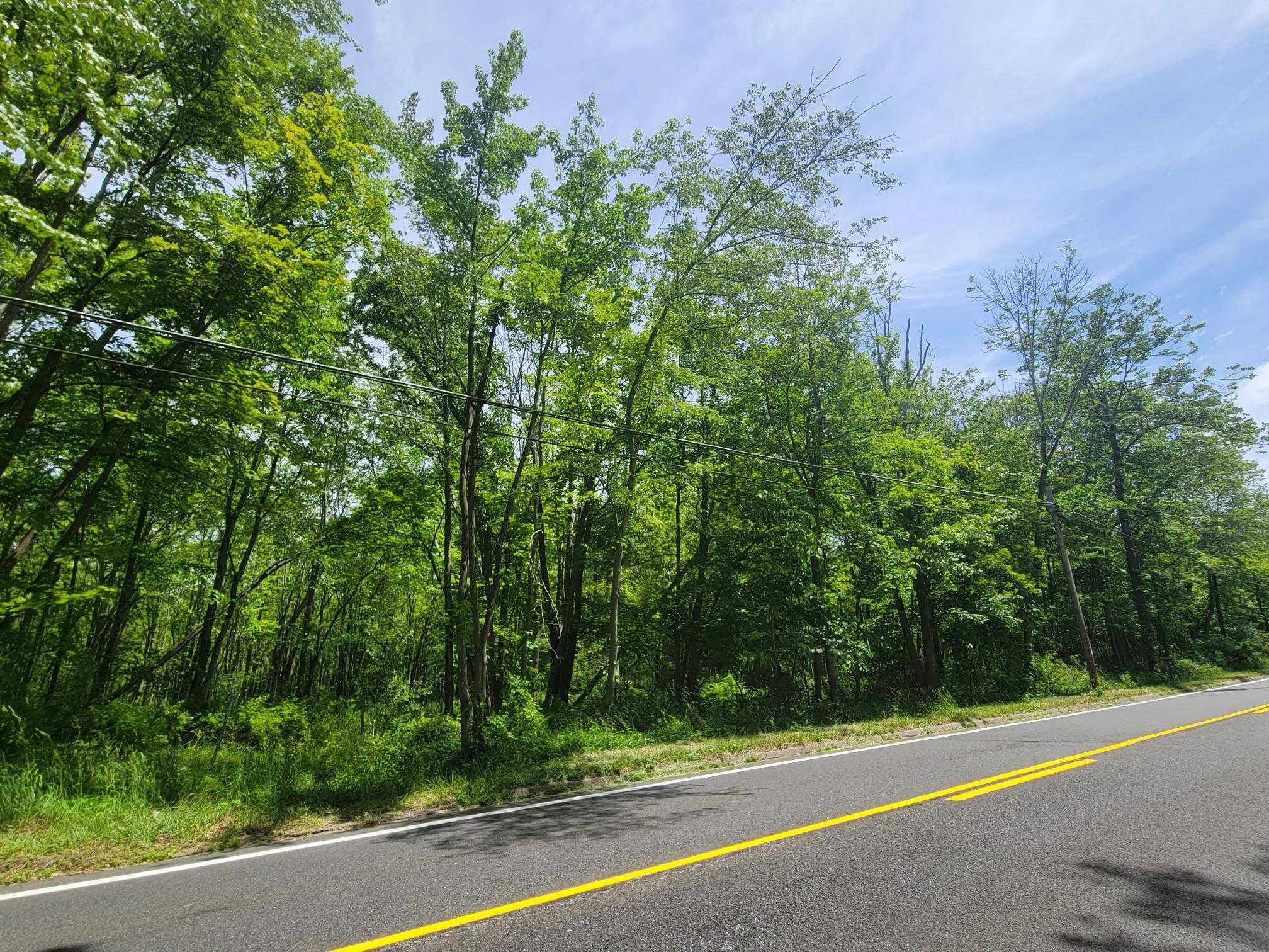 170 Schooleys Mountain Road, Long Valley, NJ, USA, Washington Township, 7853 - Thumbnail 3