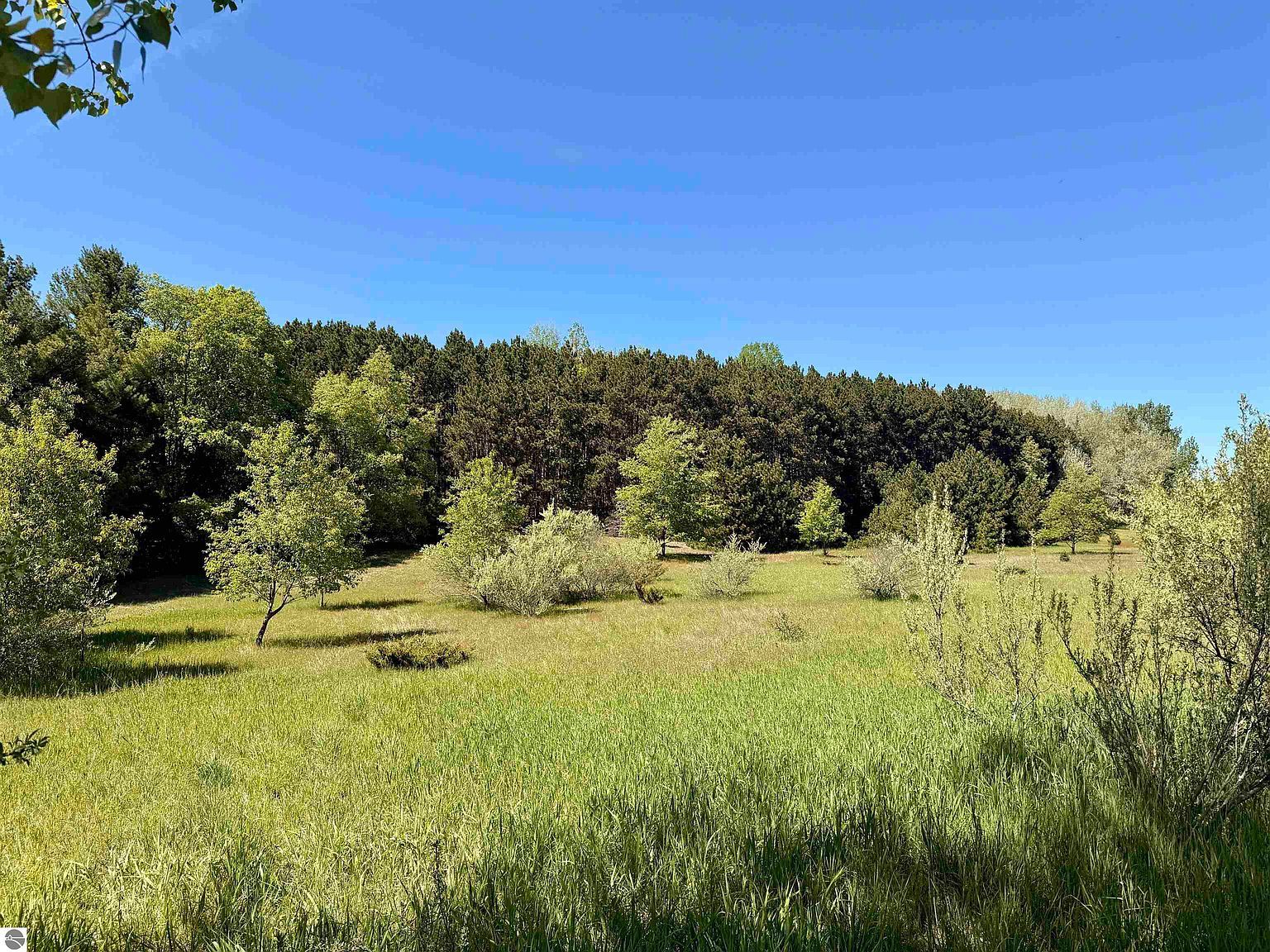 6A S Lime Lake Rd Cedar, MI 49621 - Thumbnail 3