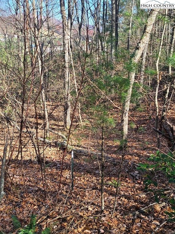 24 Highland Meadows Ct Fleetwood, NC 28626 - Thumbnail 3