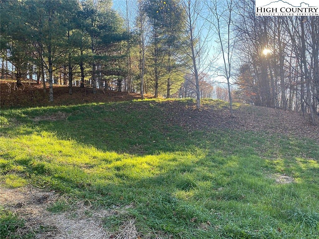 Tbd Clarence Lyall Rd West Jefferson, NC 28694 - Thumbnail 3