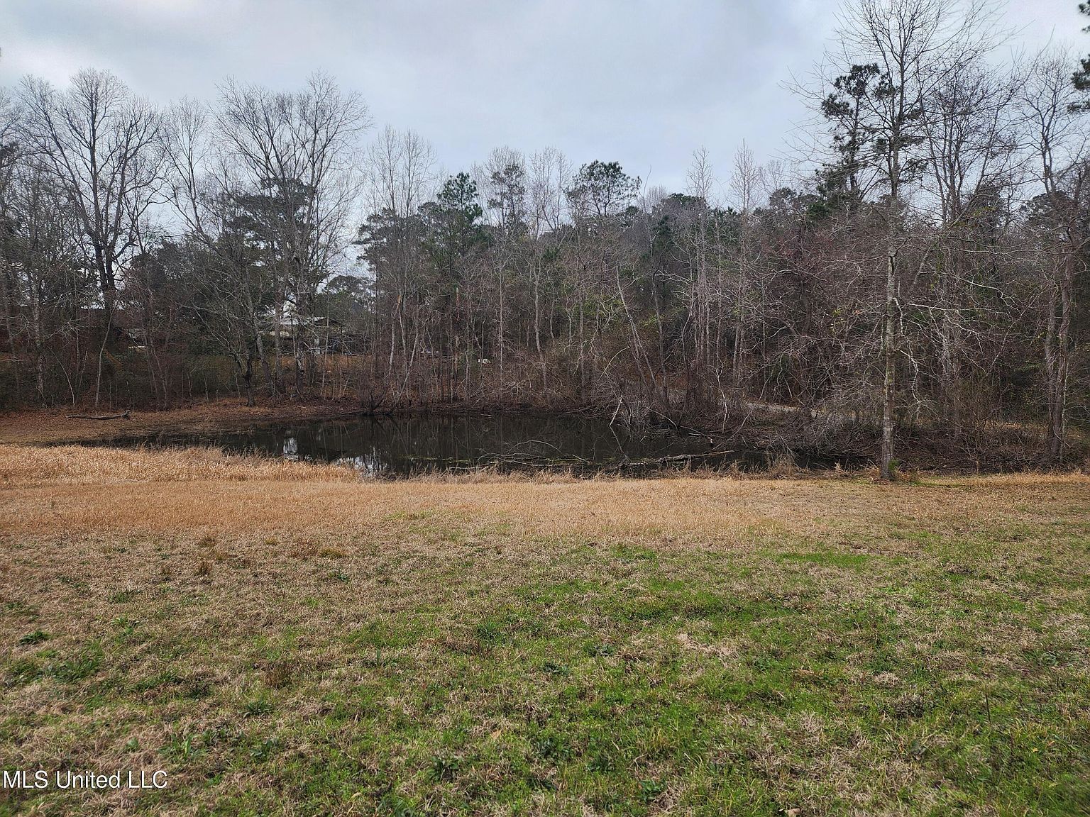 26 Charlie Daughdrill Rd Carriere, MS 39426 - Thumbnail 3