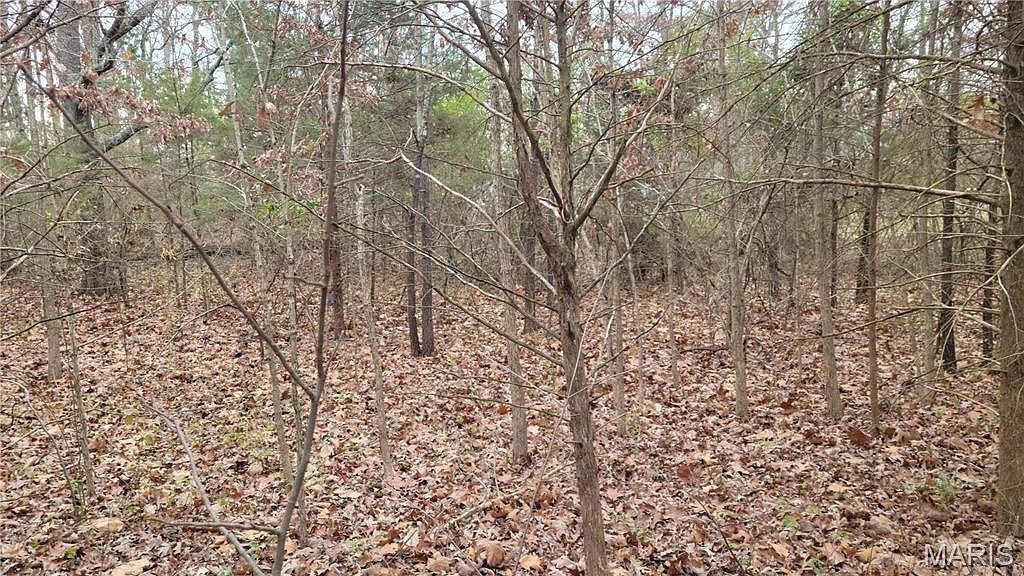 339 Oak Rd Cuba, MO 65453 - Thumbnail 3