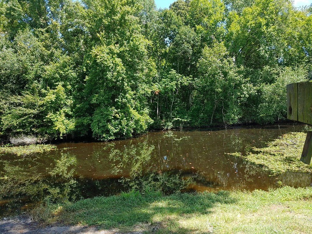 1677 Clearview Dr Manning, SC 29102 - Thumbnail 3