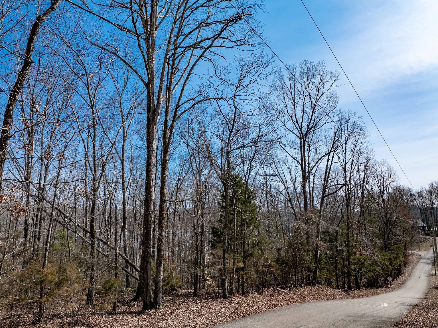 0 Fawn Ridge Rd LOT 402 Parsons, TN 38363 - Thumbnail 3