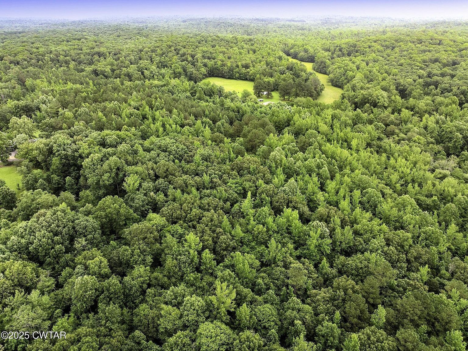 1303 Pugh Rd, Holladay, TN, 38341 - Thumbnail 3