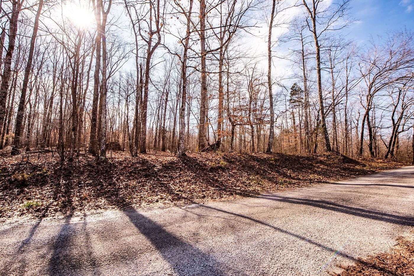 48 Berlin Dr Parsons, TN 38363 - Thumbnail 3