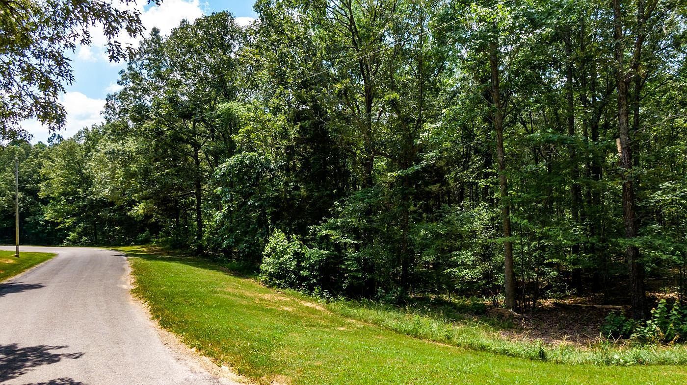 334 Logger Ln Cedar Grove, TN 38321 - Thumbnail 3