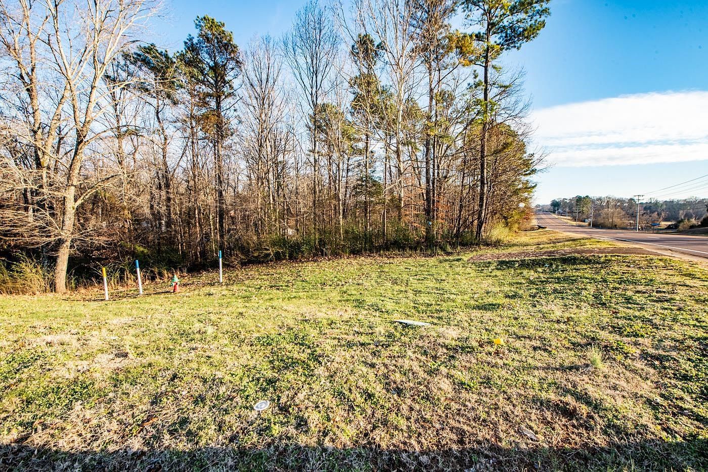 LOT 31 Stone Hedge Dr, Lexington, TN, 38351 - Thumbnail 3