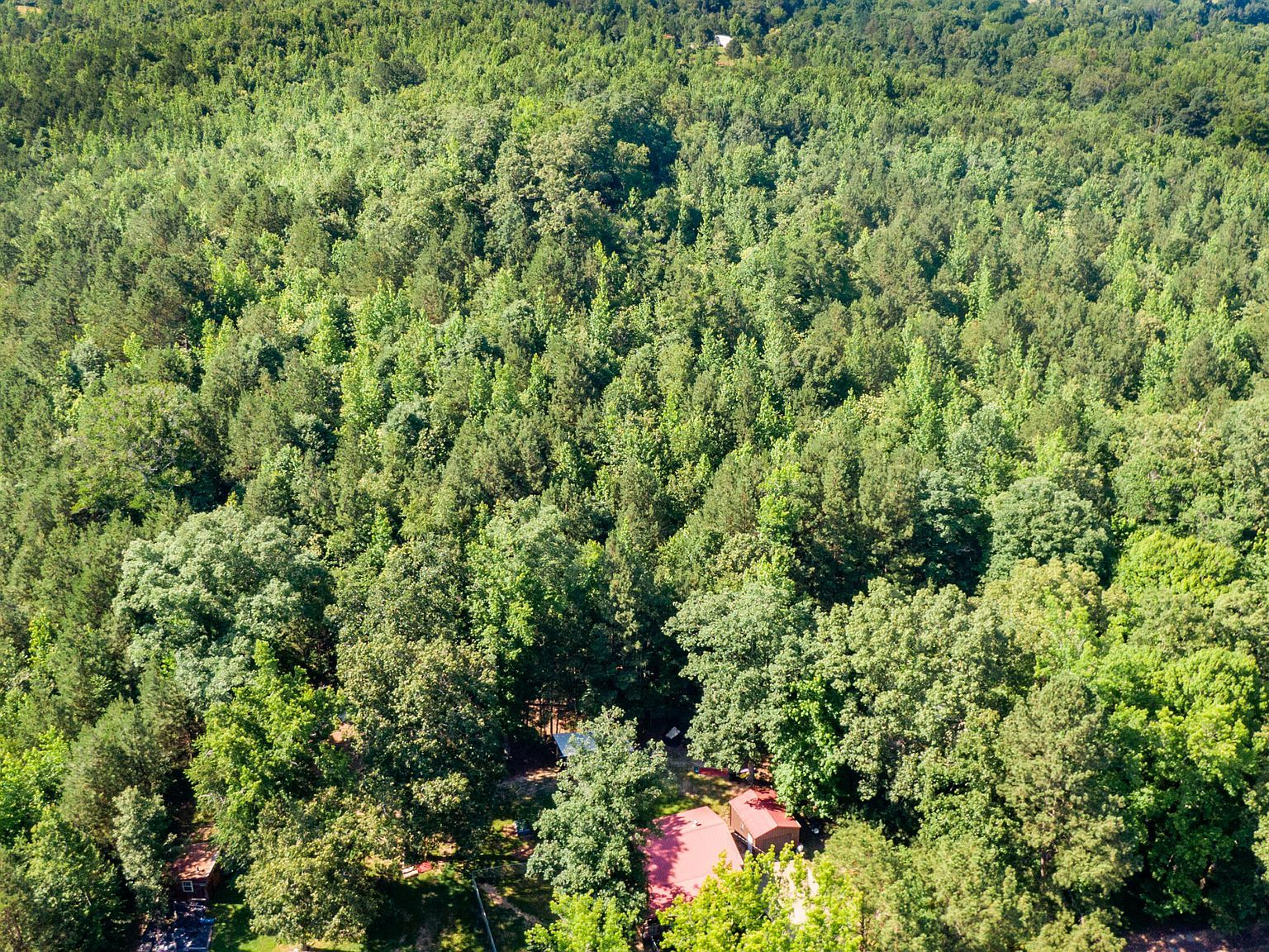 546 N Morgan Creek Rd Sugar Tree, TN 38380 - Thumbnail 3