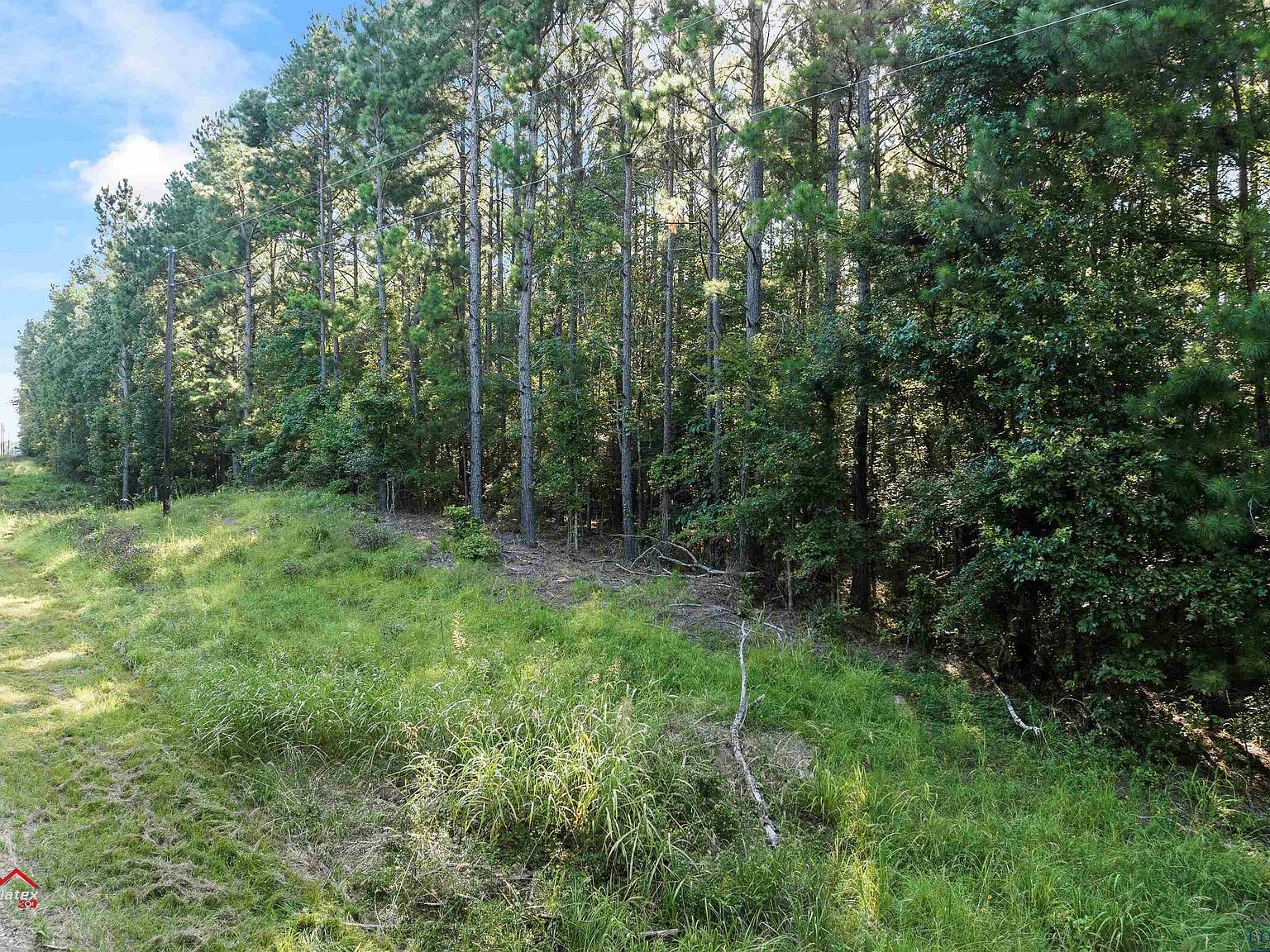 32 Circle Dr Beckville, TX 75631 - Thumbnail 3