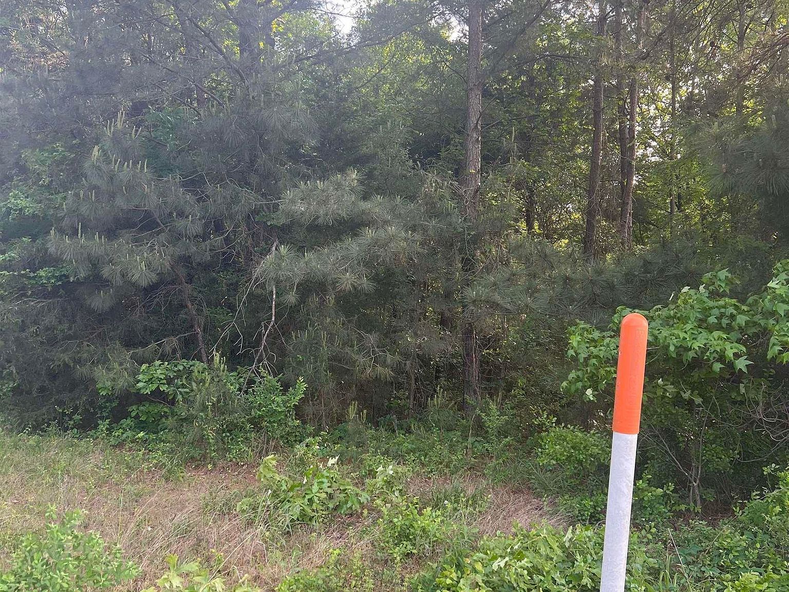 TRACT 3 County Road 477 W Henderson, TX 75654 - Thumbnail 3