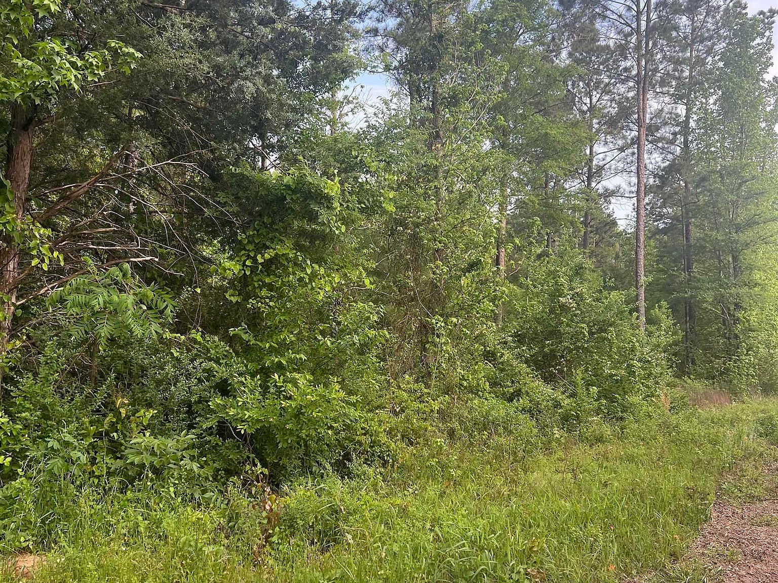 TRACT 2 County Road 477 W Henderson, TX 75654 - Thumbnail 3