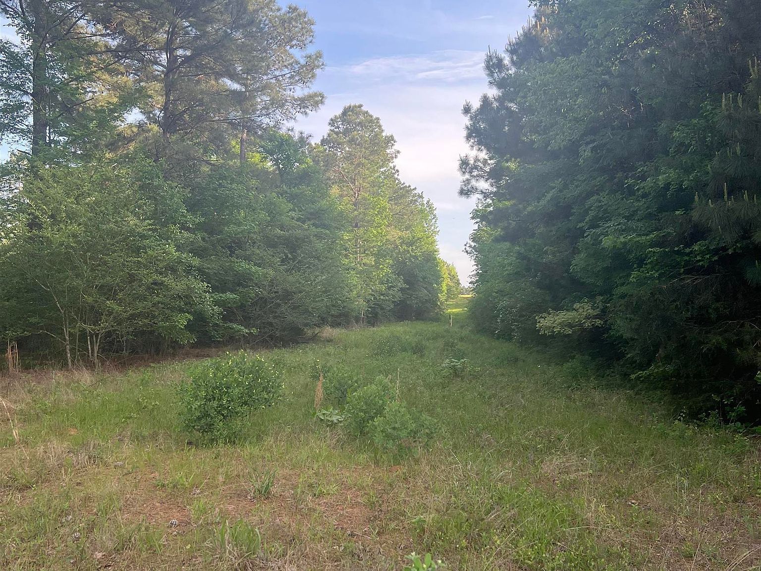 TRACT 1 County Road 477 W Henderson, TX 75654 - Thumbnail 3