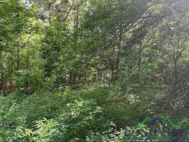 Tbd E Highway 79 Henderson, TX 75652 - Thumbnail 3