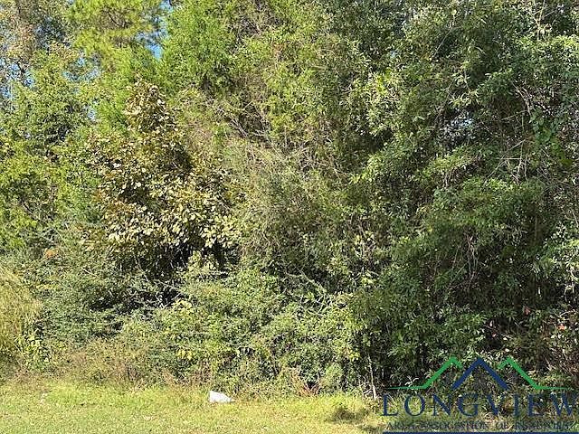 County Road 4682 Carthage, TX 75633 - Thumbnail 3