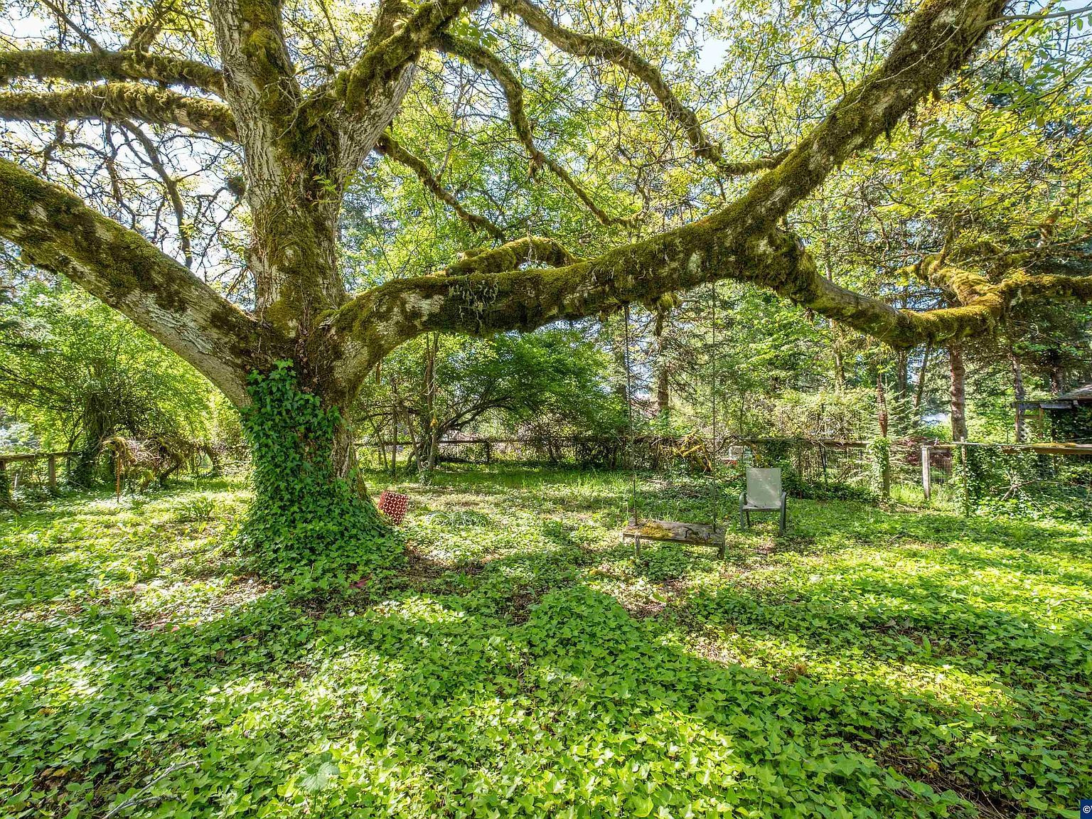 PARCEL Two 1400 Nandina St Sweet Home, OR 97386 - Thumbnail 3