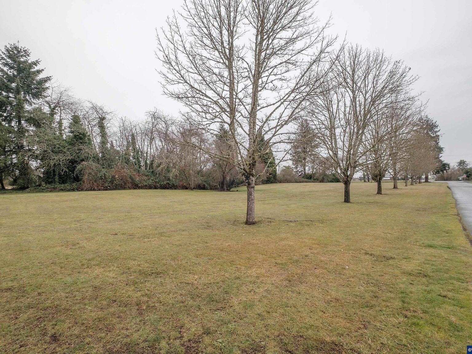 37295 Cemetery Rd Lebanon, OR 97355 - Thumbnail 3