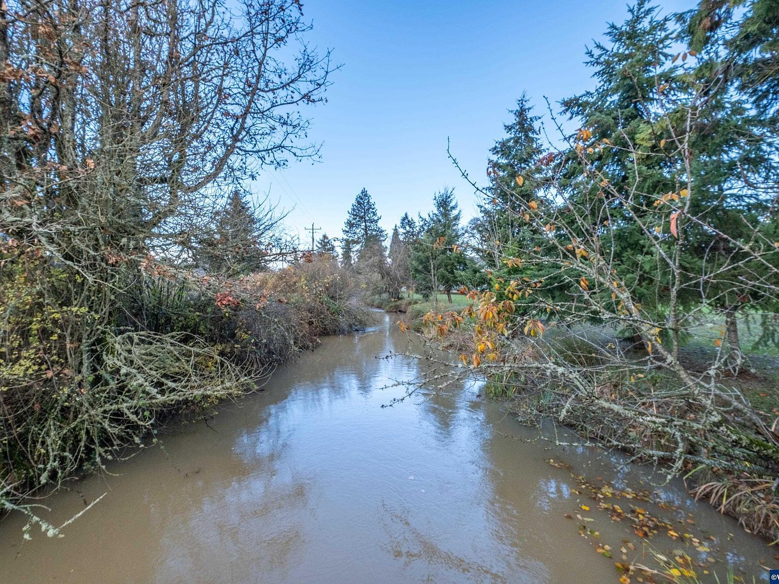 River 200937 Rd Lebanon, OR 97355 - Thumbnail 3