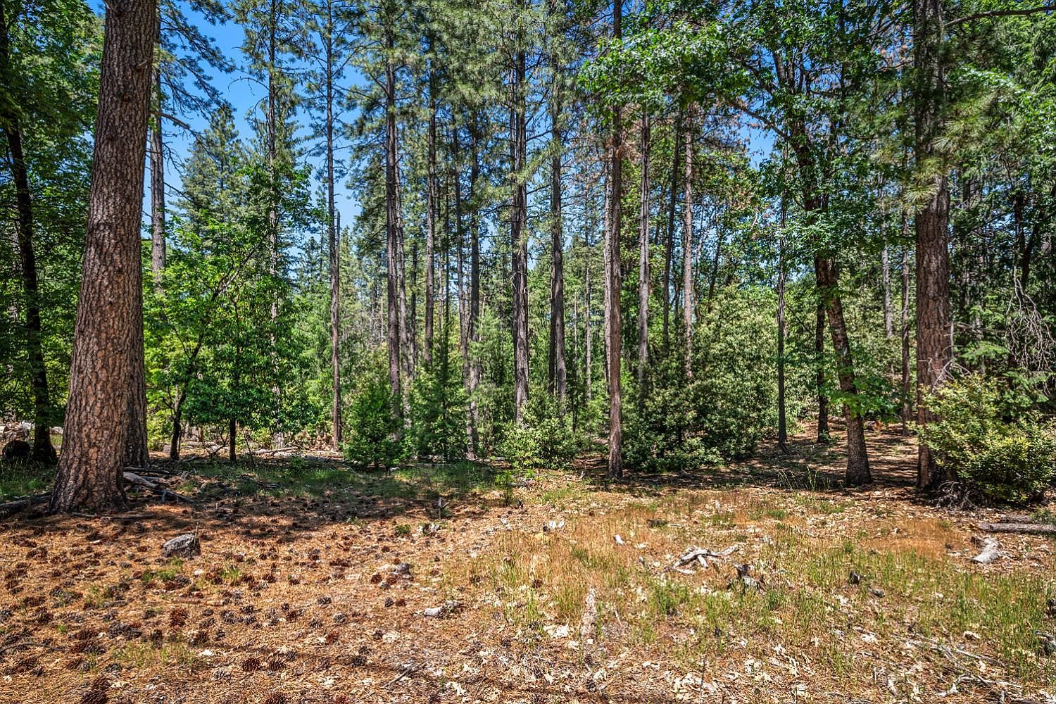 6324 Dickinson Rd Placerville, CA 95667 - Thumbnail 3