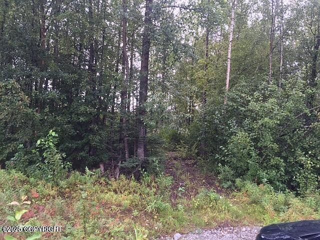 13601 S Knik Goose Bay Rd Wasilla, AK 99623 - Thumbnail 3