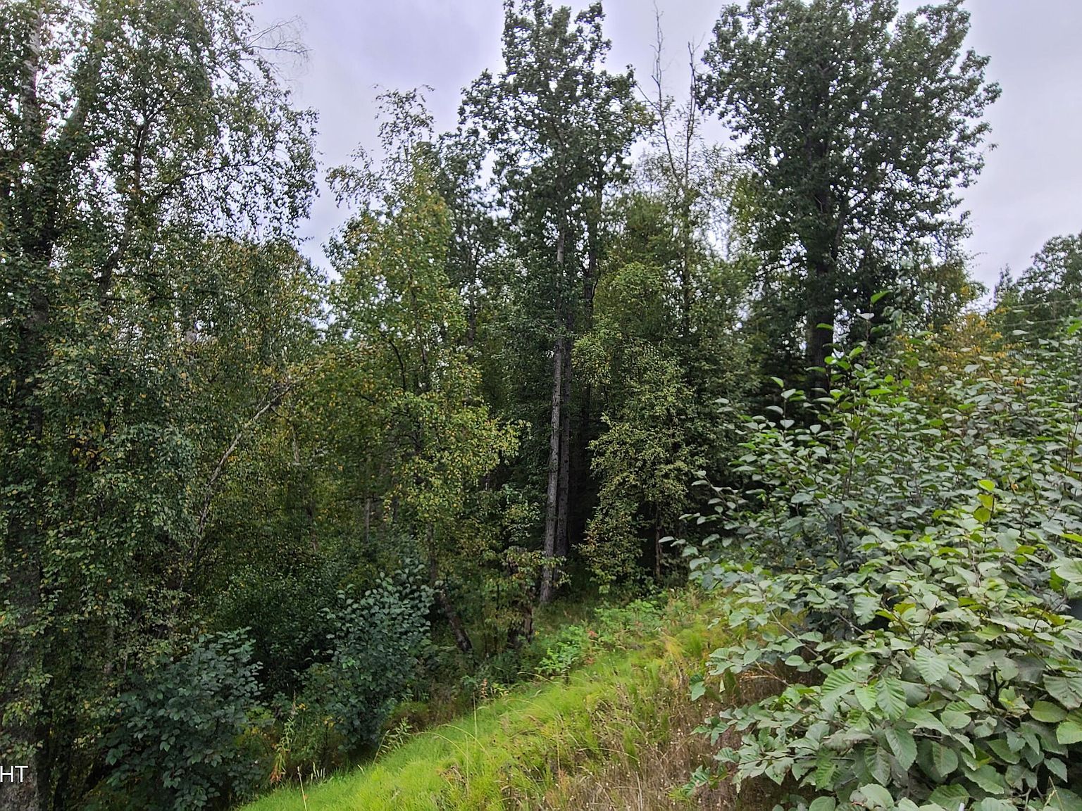 4248 W Little Rain Rd Wasilla, AK 99623 - Thumbnail 3