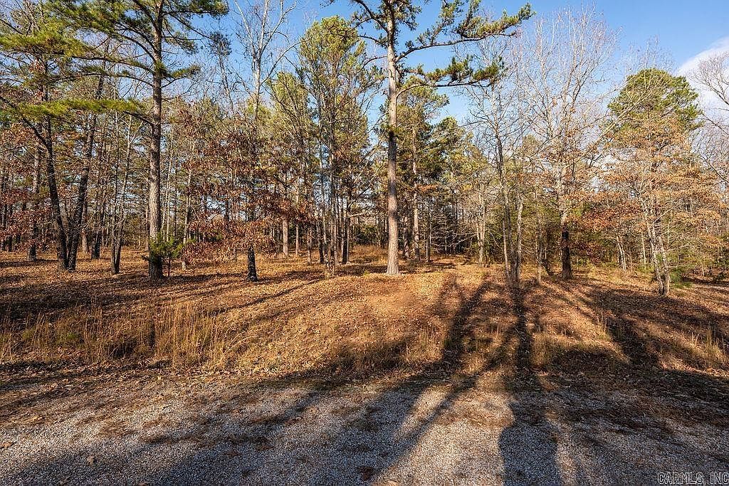 51 Primrose Creek Dr Heber Springs, AR 72543 - Thumbnail 3