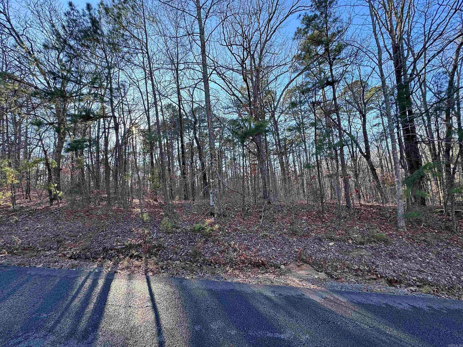 0 Miller Point Rd N Quitman, AR 72131 - Thumbnail 3